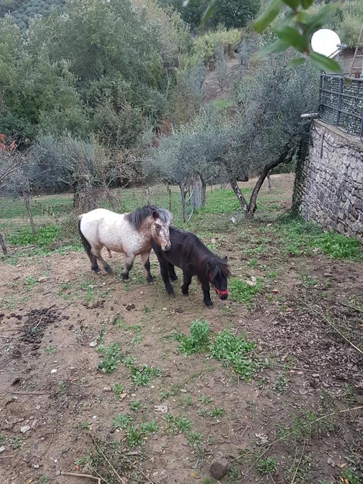 Tenuta Martino Aquara 외부 사진